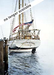 Tall Ships — Bill of Rights